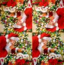 081 Winter - 3-ply - Villaverde